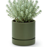 Phoenix Vine maceta olive vista frontal elegante y moderna