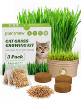PLANTMEW empaque frontal mostrando kit completo y beneficio práctico