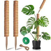 PLANTPOLEX poste musgo frontal mostrando paquete y dos unidades