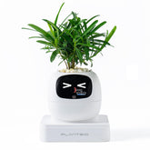 PLANTSIO maceta inteligente frontal mostrando diseño minimalista y beneficio decorativo