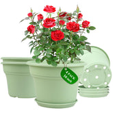 Pottiffe pack de 4 macetas frontales resistentes, ideal decoración
