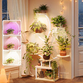 PRAISUN estantería frontal con plantas, ahorro de espacio y belleza