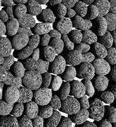 Premium Pebbles frente del empaque mostrando 20 lb y tamaño 3–5" para fácil identificación