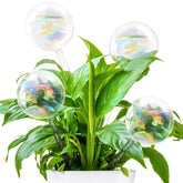 Pynqdfu pack frontal de cuatro globos arcoíris decorativos y funcionales