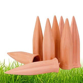 REMIAWY espiga frontal paquete mostrando ocho unidades y cubierta de terracota