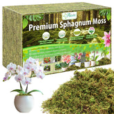Riare empaque frontal de musgo sphagnum con apariencia natural y almacenamiento práctico