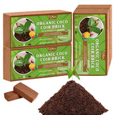 Riare paquete frontal de 4 ladrillos de coco mostrando presentación y cantidad