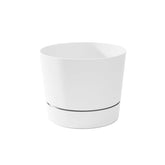 Root & Vessel vista frontal de la maceta Majestic 10.5" con acabado mate protegiendo superficies