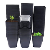 RooTrimmer frontal paquete 120 unidades muestra ahorro y cantidad