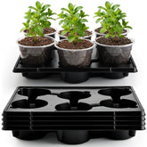 RooTrimmer maceta 6" frontal mostrando transparencia y control del sustrato