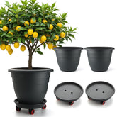 RooTrimmer maceta frontal 16 pulgadas, gran capacidad para raíces
