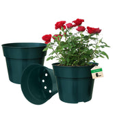 RooTrimmer maceta frontal 6 pulgadas color verde, visual claro y práctico