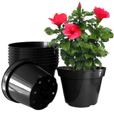 RooTrimmer vista frontal paquete de 10 macetas, ahorro y uniformidad