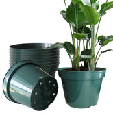 RooTrimmer maceta frontal verde mostrando forma y color duradero