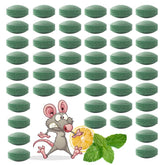 ROTIAH empaque frontal mostrando 48 unidades y beneficios naturales