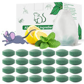 ROTIAH empaque frontal mostrando 24 unidades y beneficios de menta