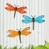 Scwhousi libélula frontal mostrando diseño y color vibrante