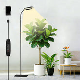 SDOVUERC anillo frontal elegante que mejora decoración y luz para plantas