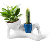 Sederikun maceta cabeza frontal mostrando diseño sonriente y color azul beneficioso decorativo