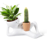 Sederikun maceta frontal con diseño Lazy Guy, aporta humor decorativo