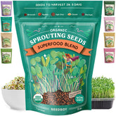 Seedboy embalaje frontal mostrando mezcla superfood y beneficios orgánicos