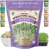 Seedboy empaque frontal de alfalfa mostrando cantidad y beneficio fresco
