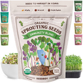 Seedboy frente del empaque mostrando la mezcla inmunidad y beneficios frescura