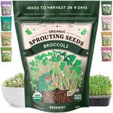 Seedboy paquete frontal de semillas brócoli mostrando etiqueta y beneficio de cultivo fácil