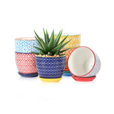 Selamica set frontal de seis macetas mostrando colores surtidos y diseño elegante