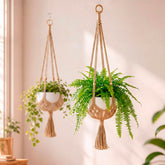 Shappy colgador frontal mostrando diseño boho y soporte resistente