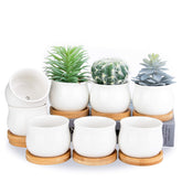 SHECIPIN pack frontal de 8 macetas blancas ideal para suculentas