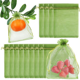 Shintop frontal del empaque mostrando bolsa verde y cantidad útil