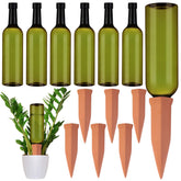 SiliFine vista frontal del set de 6 picos y 6 botellas, solución de riego práctica