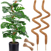Soupiar poste musgo frontal mostrando altura y soporte para plantas