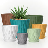 SQKH vista frontal del set, organiza plantas con estilo