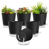 SQKH maceta frontal pack de 6 mostrando diseño y ahorro de riego