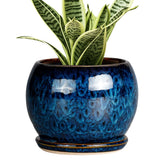 SQOWL maceta frontal azul elegante muestra acabado y forma