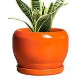 SQOWL maceta cerámica frontal naranja muestra diseño moderno