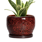 SQOWL maceta cerámica vista frontal roja con acabado brillante y diseño moderno
