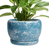 SQOWL maceta cerámica frontal azul, elegante y decorativa