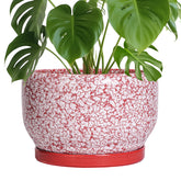SQOWL maceta cerámica frontal mostrando diseño rojo y blanco y aspecto decorativo