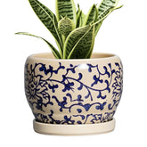 SQOWL maceta frontal azul y beige mostrando diseño decorativo