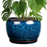 SQOWL maceta frontal azul pavón mostrando acabado decorativo y elegancia
