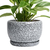 SQOWL maceta frontal negro blanco muestra estilo moderno y limpieza