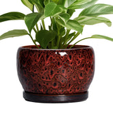 SQOWL vista frontal de la maceta roja que realza cualquier planta