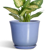 SUNPOTFOR maceta frontal púrpura-azul que decora y protege plantas