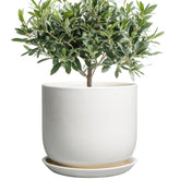 SUNPOTFOR maceta frontal blanca elegante, mejora la decoración