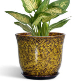 SUNPOTFOR maceta cerámica frontal mostrando forma y color para decoración