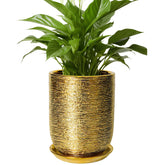 SUNPOTFOR maceta frontal dorada mostrando diseño moderno y elegancia