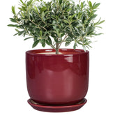 SUNPOTFOR maceta frontal roja, diseño elegante y resistente